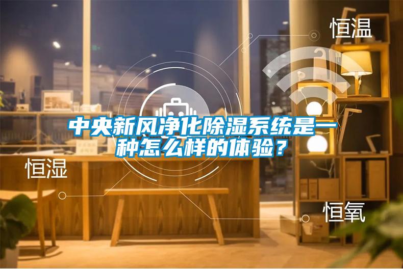 中央新風(fēng)凈化除濕系統(tǒng)是一種怎么樣的體驗(yàn)？
