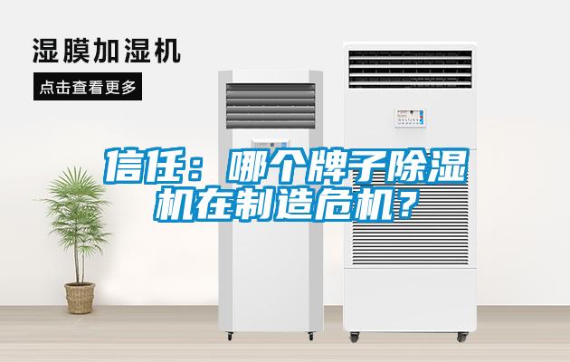 信任：哪個牌子除濕機(jī)在制造危機(jī)？