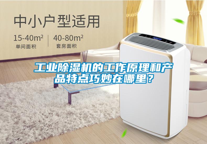 工業(yè)除濕機的工作原理和產(chǎn)品特點巧妙在哪里？