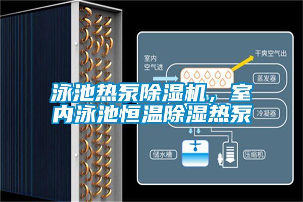 泳池熱泵除濕機，室內泳池恒溫除濕熱泵