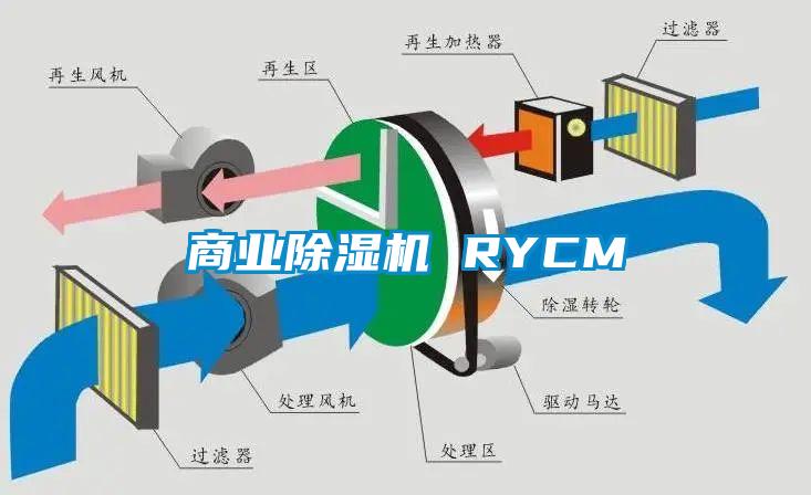 商業(yè)除濕機 RYCM