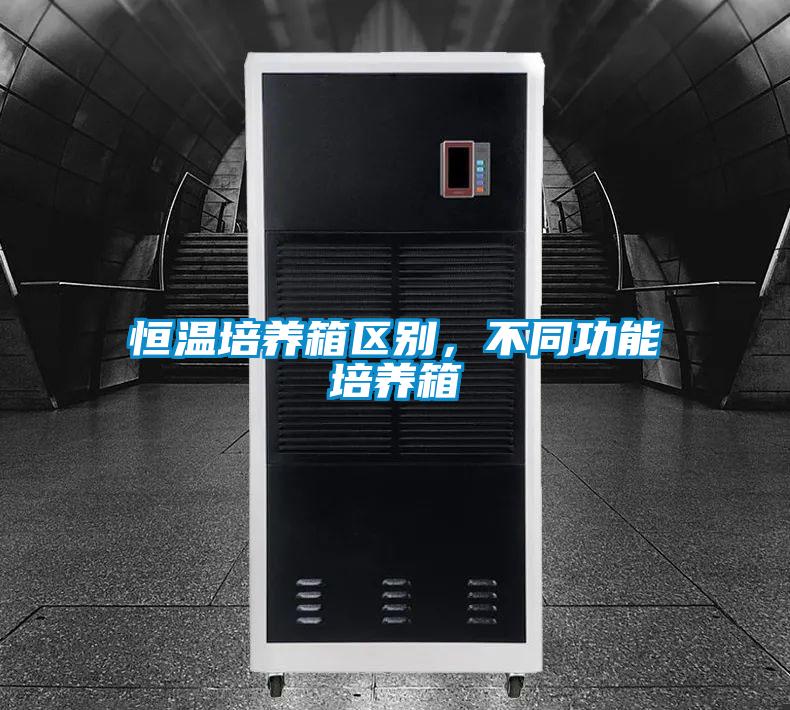 恒溫培養(yǎng)箱區(qū)別，不同功能培養(yǎng)箱