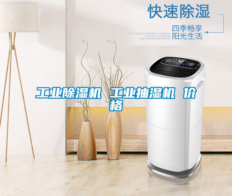工業(yè)除濕機(jī) 工業(yè)抽濕機(jī) 價(jià)格