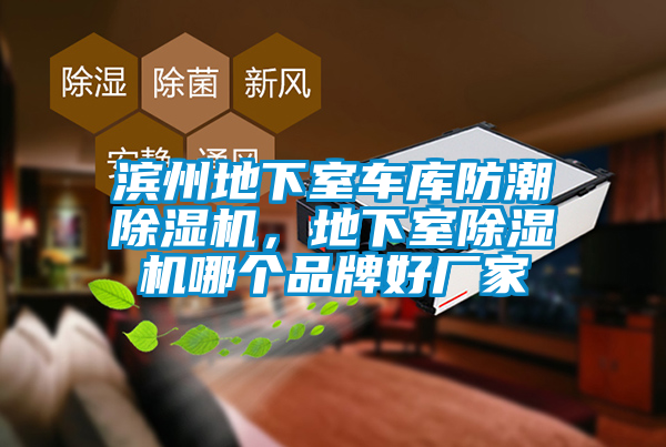 濱州地下室車(chē)庫(kù)防潮除濕機(jī)，地下室除濕機(jī)哪個(gè)品牌好廠(chǎng)家