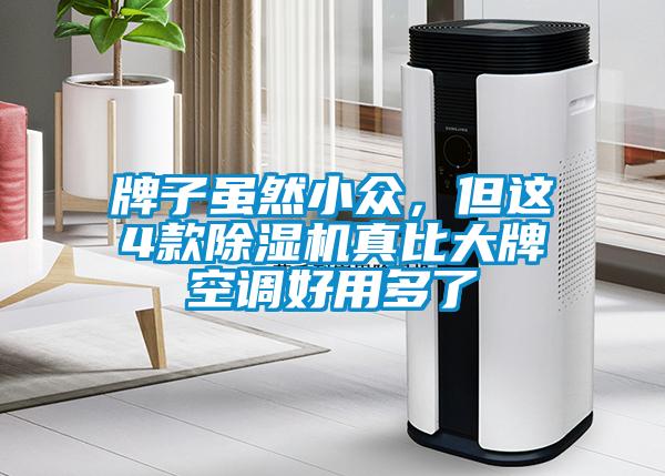 牌子雖然小眾，但這4款除濕機(jī)真比大牌空調(diào)好用多了