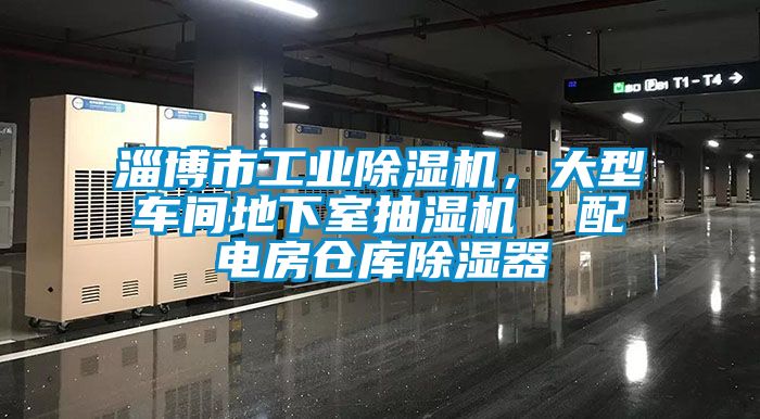 淄博市工業除濕機，大型車間地下室抽濕機  配電房倉庫除濕器