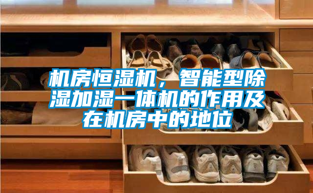 機房恒濕機，智能型除濕加濕一體機的作用及在機房中的地位