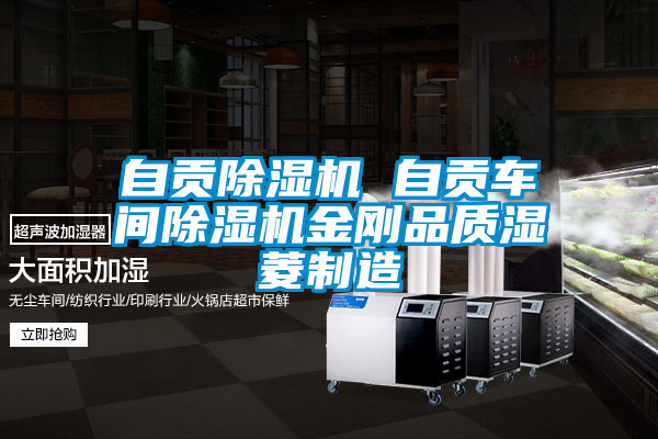 自貢除濕機(jī) 自貢車(chē)間除濕機(jī)金剛品質(zhì)濕菱制造