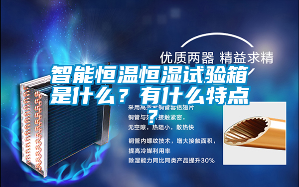 智能恒溫恒濕試驗(yàn)箱是什么？有什么特點(diǎn)？