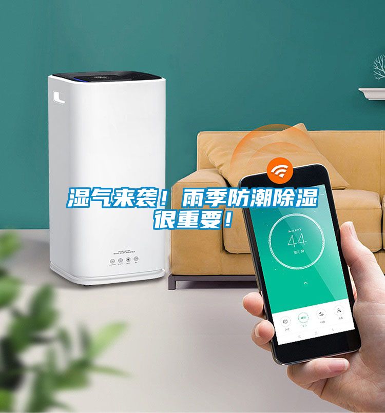 濕氣來(lái)襲！雨季防潮除濕很重要！