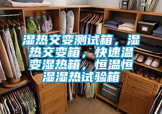 濕熱交變測(cè)試箱，濕熱交變箱，快速溫變濕熱箱，恒溫恒濕濕熱試驗(yàn)箱