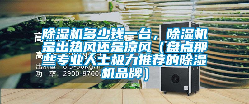 除濕機(jī)多少錢一臺(tái)，除濕機(jī)是出熱風(fēng)還是涼風(fēng)（盤(pán)點(diǎn)那些專業(yè)人士極力推薦的除濕機(jī)品牌）