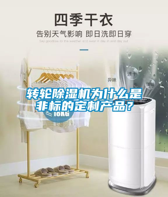 轉輪除濕機為什么是非標的定制產品？